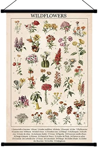Geyee гроздобер диви цвеќиња Постер габа wallидна уметност отпечатоци рустикална диви цвеќиња wallид виси илустративни референтни