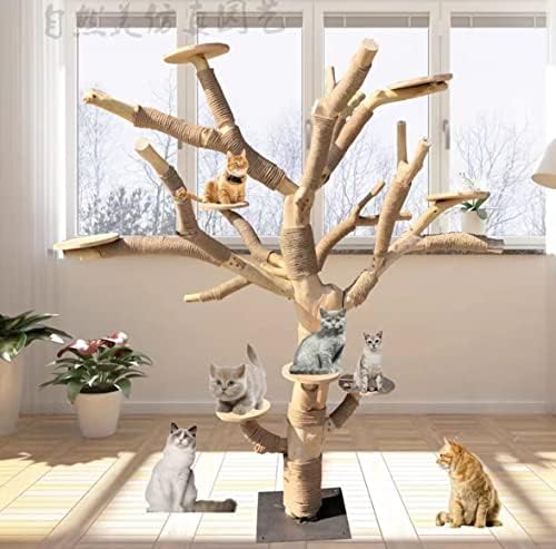 定制 树木猫 爬架 ， 高度 1,5 米 ， 原 生态 树木 有。