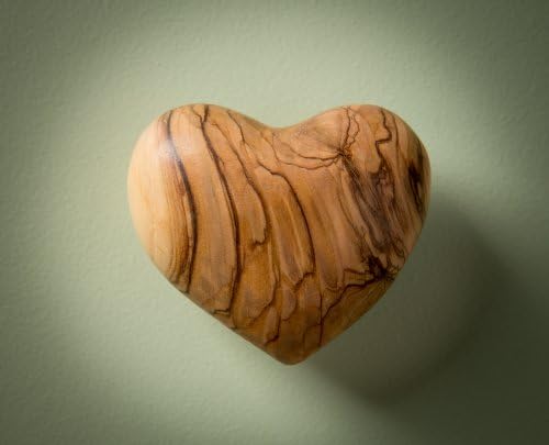 Маслиново дрво срце, големо