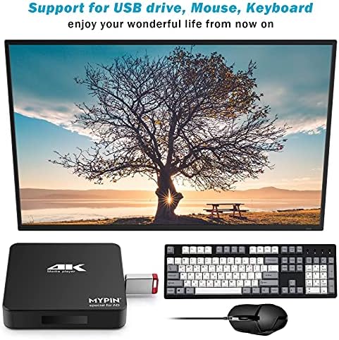 4K@60Hz MP4 Media Player Поддршка 8TB HDD/256G USB диск/SD картичка со HDMI/AV за HDTV/PPT MKV AVI MP4 H.265-Поддршка за рекламни
