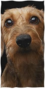 Алаза Микрофибер салата за крпа Дахшунд, куче за брзо сушење на спортска фитнес потта за миење на лицето 15 x 30 инчи