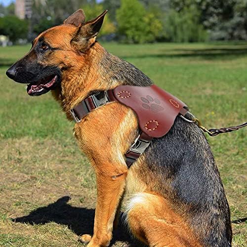 ZLXDP Питбул Териерски јаки ги прицврстува оригиналното кожено куче хранес елек големи кучиња обука за обука на златен ретривер