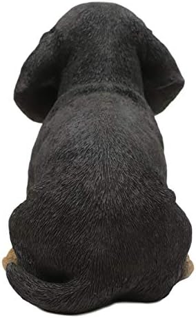 Еброс Реална симпатична црна и тен Дахшунд кученце статуа 8 Долга колбас од колбаси од шницел, фигура за кучиња, миленичиња, галерија за миленичиња,