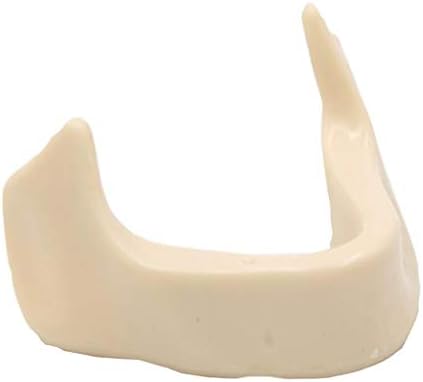 KH66ZKY Орални мандибуларни модели Модел на заби Модел на човечка коска анатомија Долна обука за садење вилица за помош за медицинска едукативна