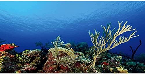 AWERT аквариум Позадина подмоќна корална корална риба позадина 24х12 инчи винил