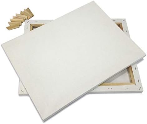 EDM Lot 2 Artist Canvas 8x10 Blank Pred-Stretted Rramed Cotton Double Gesso