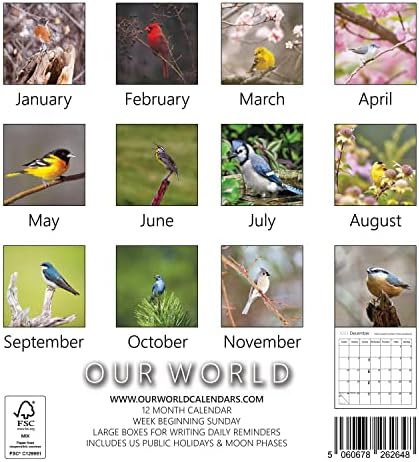 Нашиот Светски Ѕиден Календар За Птици Песни 2023 Година-Планер за Семејство &засилувач; Дневен Организатор Со Месечна Слика На КАЛЕНДАРОТ