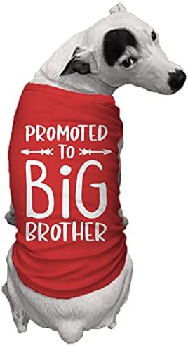 Промовиран на Големиот брат - кошула за кучиња