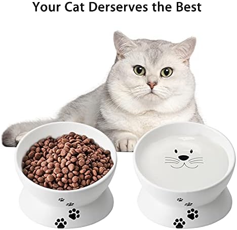 Чадови за храна со мачки, 10 мл покачени чинии за мачки за мачки и мали кучиња, навалена сад за миленичиња за миленичиња со подигнат