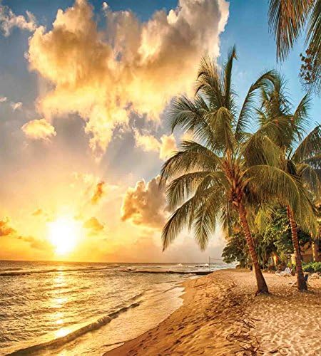 Комплет За Покривање на Јорган од плажа амбесон, Тропска Песочна Плажа Со Хоризонт На Зајдисонце И Летна Фотографија Од Палми Од Кокос, Украсен