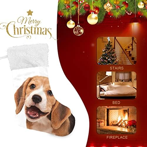 Алаза Божиќни чорапи Beagle Puppy Classic Персонализирани големи декорации за порибување за семејни сезонски празници Декор 1 пакет,