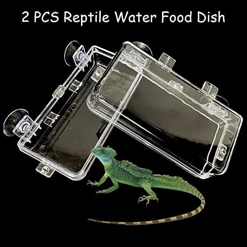 TFWADMX 2 ПЦС Камелеон сад, храна за хранење на влекачи, вода за чинија со вода геко црви, анти-ескејски камелеон, за снабдување додатоци за гуштер