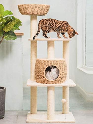 Wyjw -cat искачување дрво мачка со мачки со сисал покриени со топка и висечка топка, 55,9 инчи хартија јаже маче кондо игра и перка