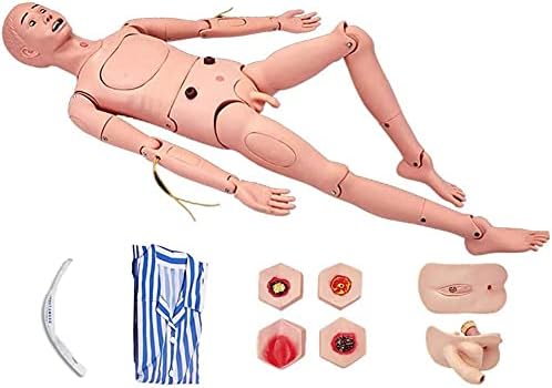 Znxy Мултифункционална маникин анатомски човечки модел за обука на медицинска сестра и едукација Наставни материјали Маникин човечки