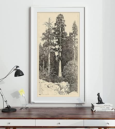 Образовни гроздобер дрвја Постери за естетска соба - Гроздобер линиски цртежи на дрвја сет од 3 wallидни уметнички декор | Постер