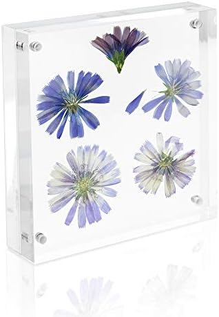 Исак Jacејкобс 5 ”x 5” Супер густа [дебелина од 28мм] чиста рамка за акрилен магнетски блок, двострана, рамка, слободна, лебдечка фотографија,