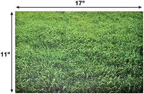 За еднократна Употреба Трева Печатени Хартија Место Душеци 50 Пакет 11 х 17 Правоаголник Зелена Трева Изглед Полнач Место Мат За Пролет Лето Луау Вечера Маса Поставув