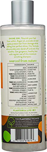 Плантарија Марокан Арган масло шампон | Растителни чисти вегански органски анти -првути и производи за коса Фриз за жени, мажи, тинејџери,