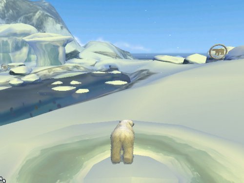 Арктичка Приказна - Нинтендо Wii
