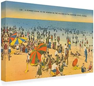 Трговска марка ликовна уметност „разгледница на плажа IV“ Арт од портфолиото на диво јаболко 22х32