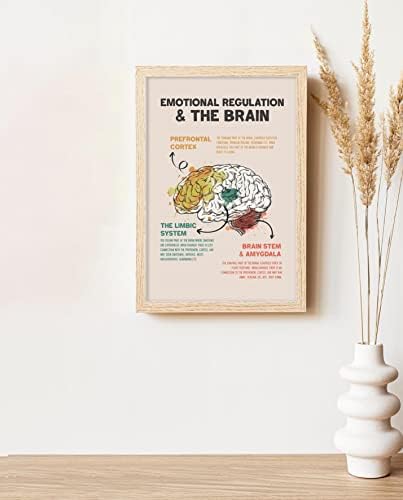 ЕМОЦИОНАЛНА РЕГУЛАЦИЈА &засилувач; Мозокот Мозокот Анатомија И Психологија Постер Бохо Ментално Здравје Постери За Училница Мозочна Терапија