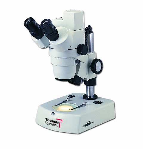 Томас 1100500200101т Дигитален Стерео Микроскоп Со Вградена Дигитална Камера И База За Заштеда На Простор, 20мм Окулар, Стандардна