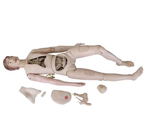 Нов стил високо квалитетна обука за медицинска сестра кукла анотомски човечки модел