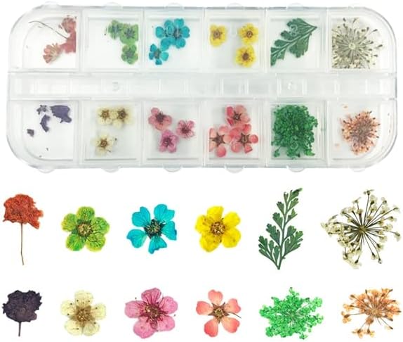 1 сет 12 обрасци 3Д налепници за суви цвеќиња вистински сушени цветни нокти за украсување совети DIY алатки за маникир со кутија -