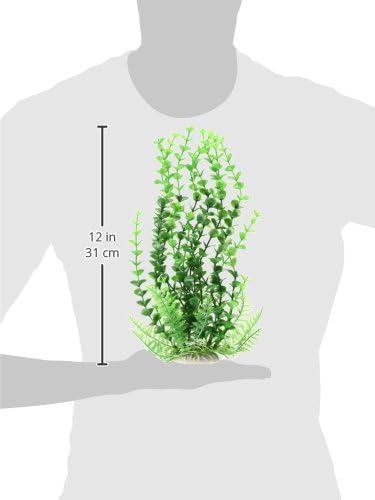 Aquatop Aquatic Supplies PD-BH32 003593 ELODEA Aquarium Plant со пондерирана база, зелена, 9 “