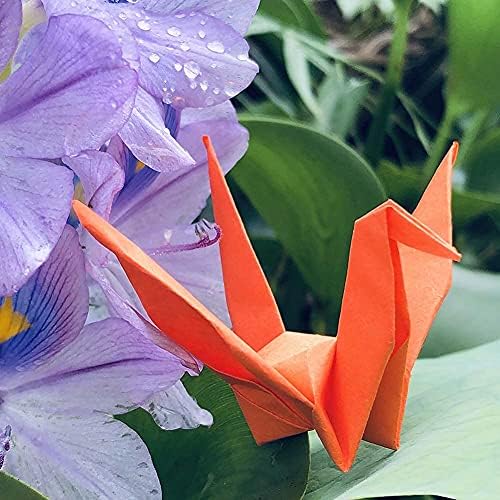 100 парчиња 5,9 Премада виножито оригами кранови преклопени оригами птици за свадбени забави за фаворизи на маса, роденден роденденски туш
