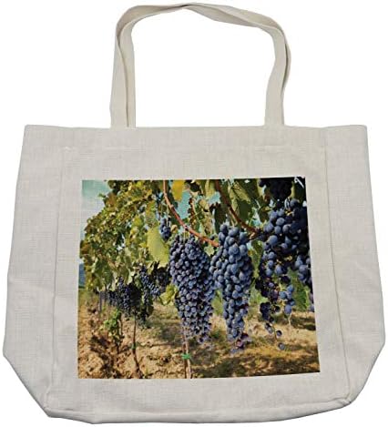 Торба за купување на грозје од грозје, редови на вино од вино во Тоскана Италија Органска природна жетва село, еколошка торба за еднократна