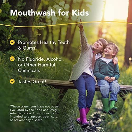 Северноамериканска билка и зачин Кид -е -каре јагода орална кланц - 8 fl oz - се -природно миење на устата за деца - промовира здрави заби
