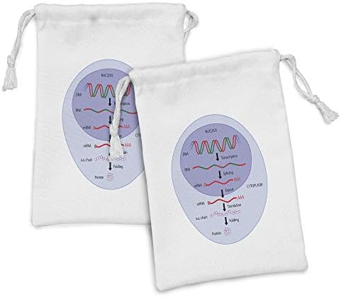 Амбесон Биологија Ткаенина Торбичка Сет на 2, Молекуларен Ген Превод Матични Клетки Тематските Табела, Мали Врвка Торба За Тоалети Маски и