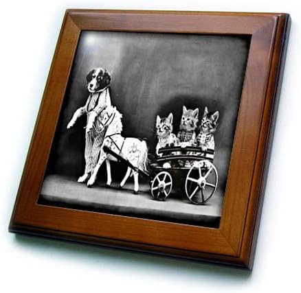 3дроза Слика На Античка Фотографија Куче Влече Вагон Со Три Мачки-Врамени Плочки