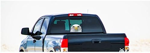 Rogue River Tactical 9x6 Голема американска ќелава орел глава САД знаме заден прозорец налепница за налепница на патриотски автоматски