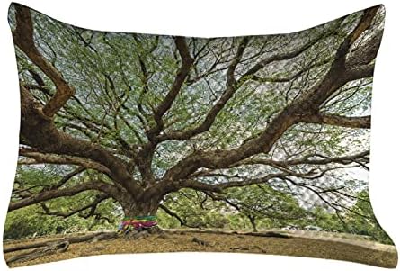 Ambesonne Природата ватирана перница, прекрасно дрво од дожд во Тајланд со долги гранки Рурална глетка за раст на руралните предели,