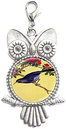 HandcraftDecorations Bird Sowl Zipper Повлечете, за тоа, влечење на патенти за птици, накит за птици, подарок за lубители на