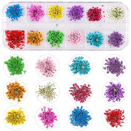 2 кутии сушени цвеќиња за уметност за нокти, бакнеж 24 бои суви цвеќиња мини реални природни цвеќиња нокти Арт материјали 3Д Апликација