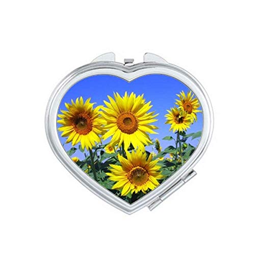 Сончеви цвеќиња сончогледи сино небо огледало за зголемување на преносно рачно џеб шминка