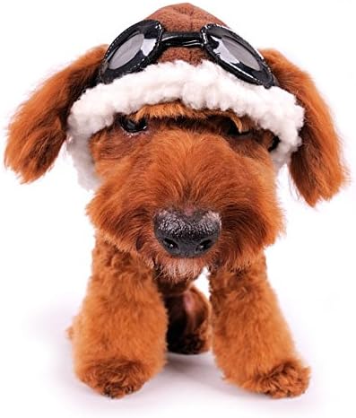 Куче авијатичар капа со очила големо кафеава