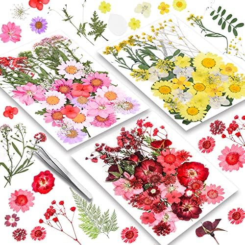 Смола од 110 парчиња смола сушени цвеќиња, младило, вистински природни суви цвеќиња со пинцети за занаетчиски накит за занаетчиски цвеќиња, црвени жолти розови
