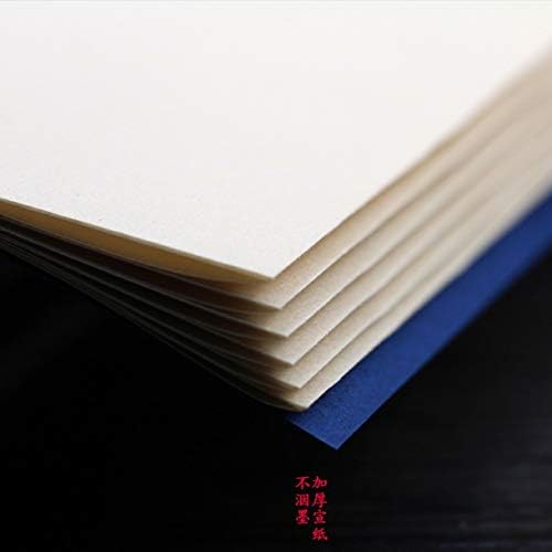 Welliestr 5pcs празна кинеска книга Ксуан хартија Кинеска традиционална нишка за шиење калиграфија Книга Xuan Paper Paper Paper 16x26cm