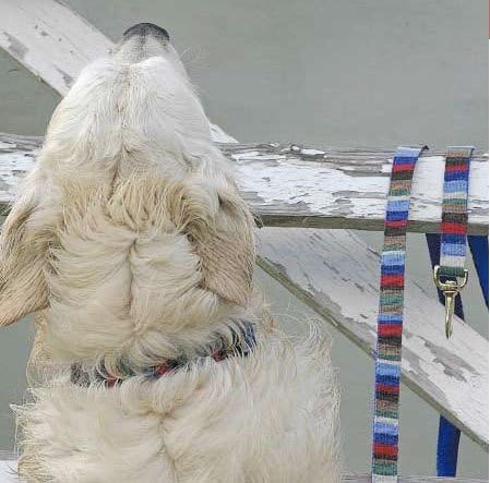 Опашка Што Можевме Да Мавтаме Со Поводник За Кучиња-на плажа нантакет 6 стапки