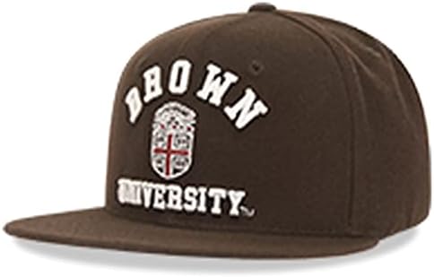 В Република Браун Универзитетот Мечки Бруцош Колеџ Snapbacks Капа-Браун_2