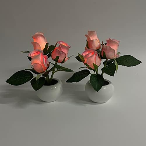 подлога роза цветна светлина маса лажна цветна маса за ламба дома декор розов предводен цвет
