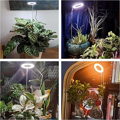 Aokrean Grow Lights за растенија во затворен простор, 48 LED диоди со целосен спектар светло за растенија за затворен простор, мала светлина за одгледување со тајмер 3/9/12, режим