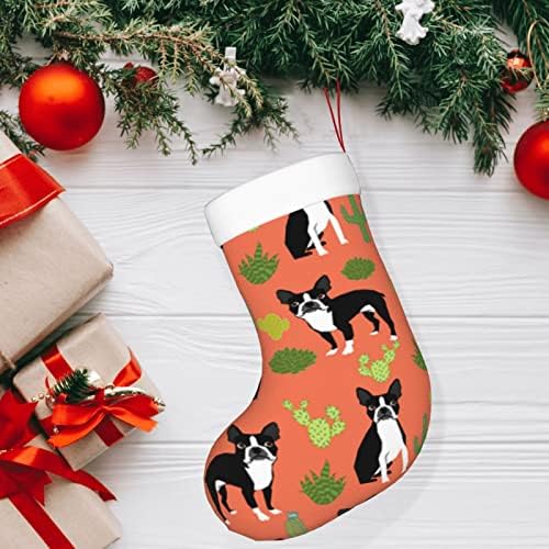 Божиќни чорапи на Аугенстер Бостон Териер кучиња Кактус портокалова двострана камин што виси чорапи