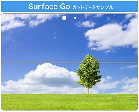 Декларална покривка на igsticker за Microsoft Surface Go/Go 2 Ултра тенки заштитнички налепници на телото 005883 Фото воздух пасишта