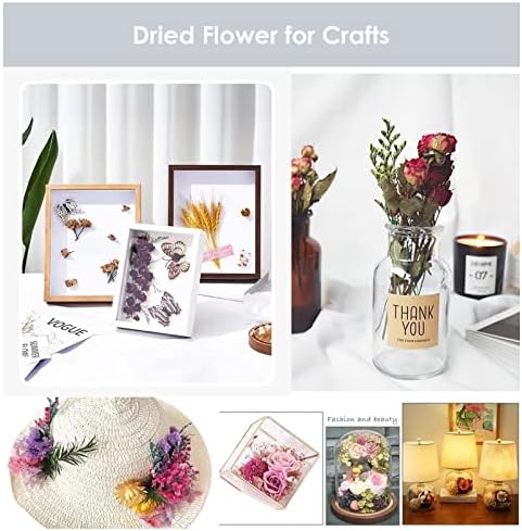 L'Brevoga Сушен цвет за занает, зачуван цвет Hydrangea сет, 4 до 5 случајни бои, природни цвеќиња за филер за подароци од смола од свеќи