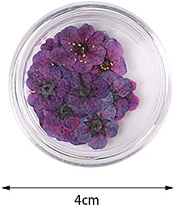 Zentto Nail Art Real Сушен цветен сет-нокти сушен цвет капе телефон случај DIY сушен цвет Фото